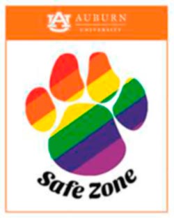 SCPS Safe Zone sticker
