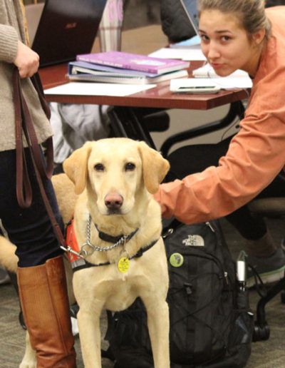 Dogtor Moose visits students in the library during Stress Week